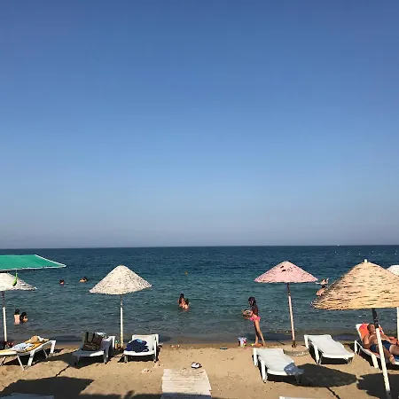 Babutsa * פמגוסטה